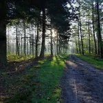 木屋 Veluwe Park Reewold Talisman 皮滕