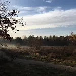 Veluwe Park Reewold Talisman