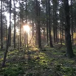 Veluwe Park Reewold Talisman * Putten
