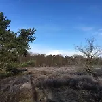 Veluwe Park Reewold Talisman Putten