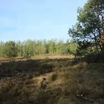 Veluwe Park Reewold Talisman 木屋 皮滕