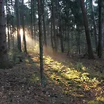 Domek alpejski Veluwe Park Reewold Talisman Putten
