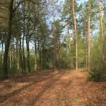 Veluwe Park Reewold Talisman * Putten