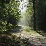 Veluwe Park Reewold Talisman Domek alpejski
