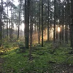 Veluwe Park Reewold Talisman * Putten