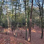 Veluwe Park Reewold Talisman 皮滕