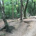 木屋 Veluwe Park Reewold Talisman 皮滕