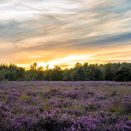 Chalé Veluwe Park Reewold Talisman *