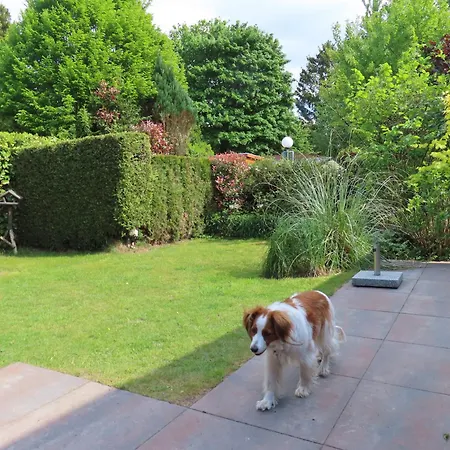 Veluwe Park Reewold Talisman Domek alpejski