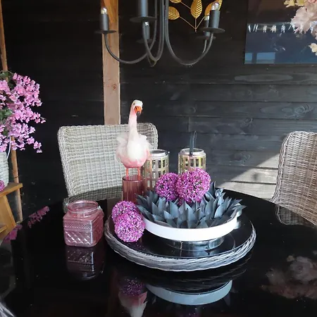 Chalet Veluwe Park Reewold Talisman *