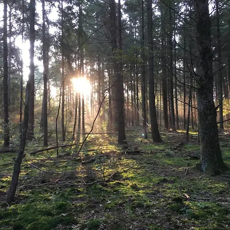 Veluwe Park Reewold Talisman * Putten