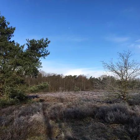 Veluwe Park Reewold Talisman Putten