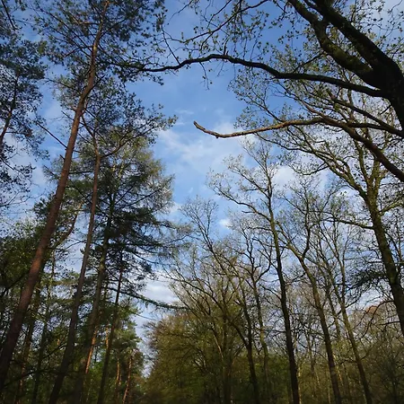 Veluwe Park Reewold Talisman
