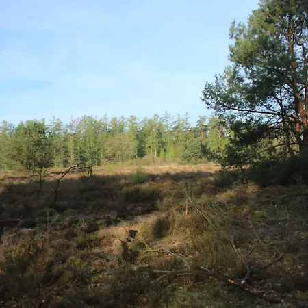 Veluwe Park Reewold Talisman Chalet Putten