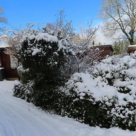 Veluwe Park Reewold Talisman *