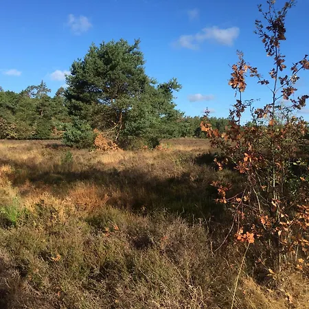 Veluwe Park Reewold Talisman 木屋 *