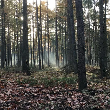 Domek alpejski Veluwe Park Reewold Talisman *