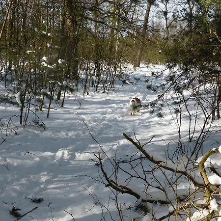 Veluwe Park Reewold Talisman Putten