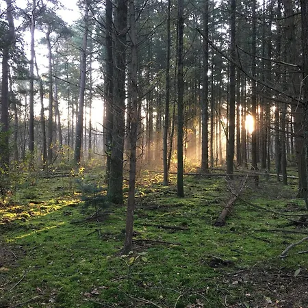 Veluwe Park Reewold Talisman * Putten