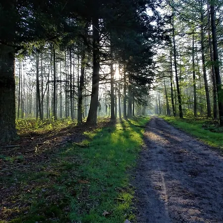 Veluwe Park Reewold Talisman Chalet