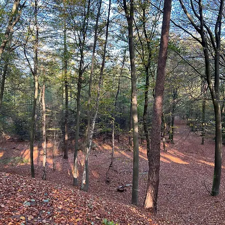 Veluwe Park Reewold Talisman Putten