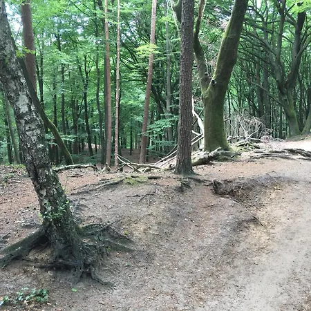 Chalet Veluwe Park Reewold Talisman Putten