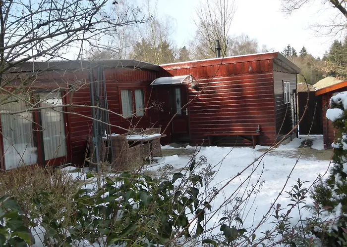 Veluwe Park Reewold Talisman Chalet