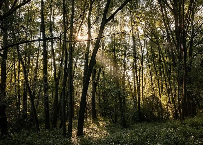 Chalet Veluwe Park Reewold Talisman *