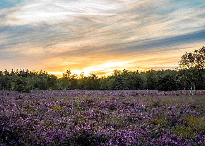 木屋 Veluwe Park Reewold Talisman *