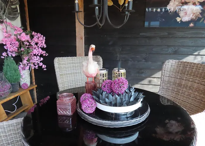 Chalet Veluwe Park Reewold Talisman *