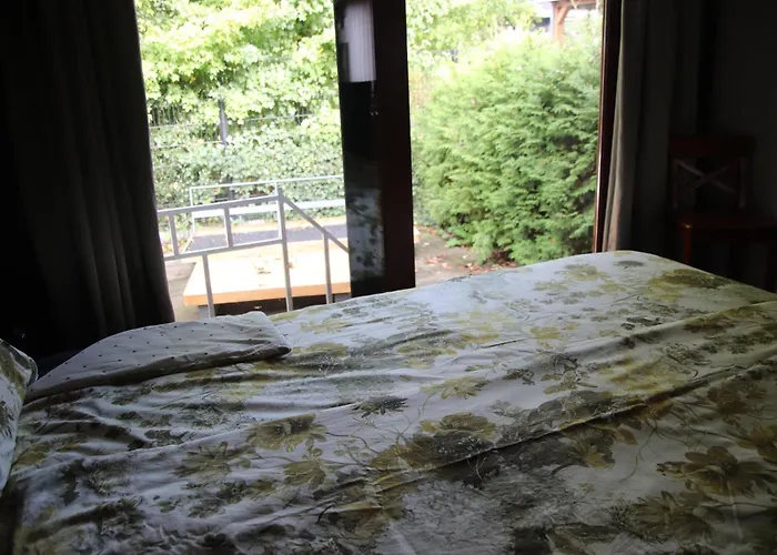 Veluwe Park Reewold Talisman 木屋 皮滕