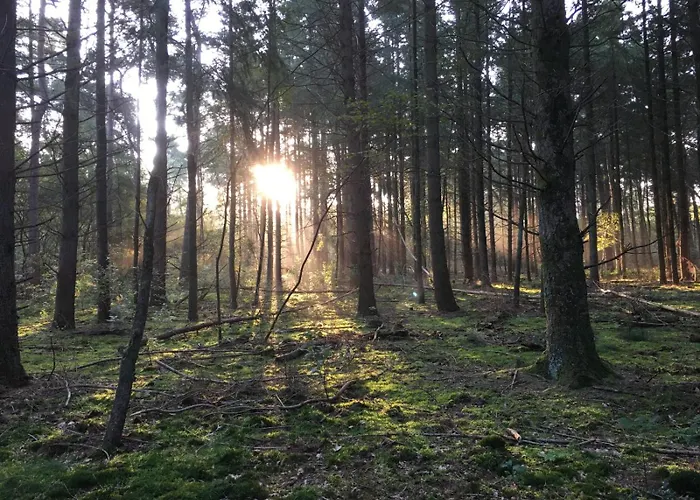 Veluwe Park Reewold Talisman * Putten