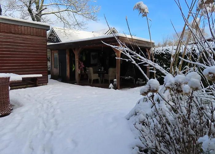 Chalet Veluwe Park Reewold Talisman *