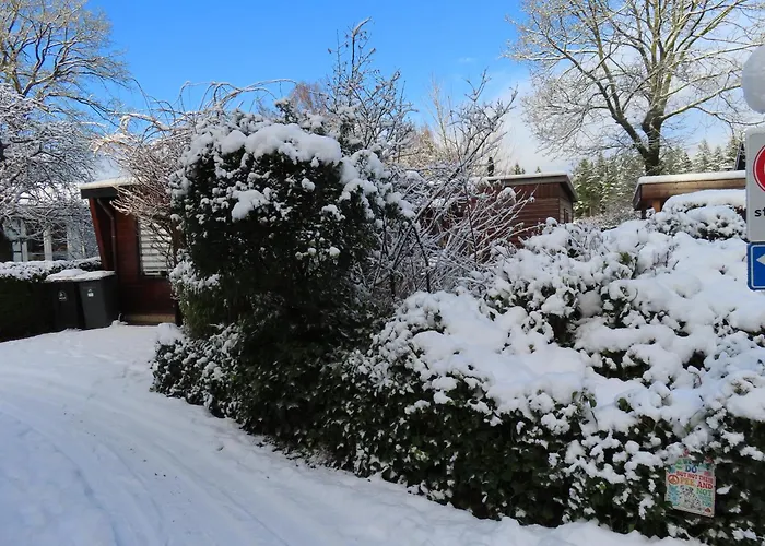Veluwe Park Reewold Talisman *