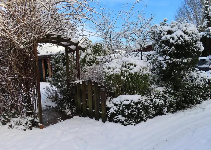 Veluwe Park Reewold Talisman 木屋