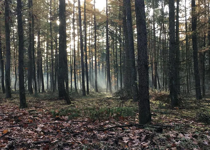 木屋 Veluwe Park Reewold Talisman *