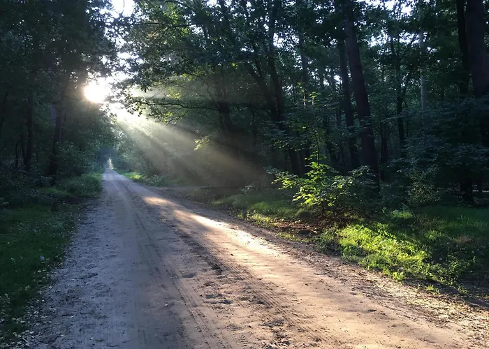 Veluwe Park Reewold Talisman *