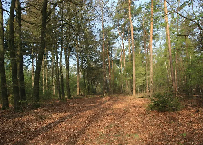 Veluwe Park Reewold Talisman * 皮滕