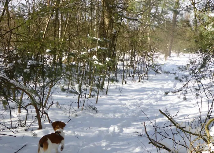 Veluwe Park Reewold Talisman