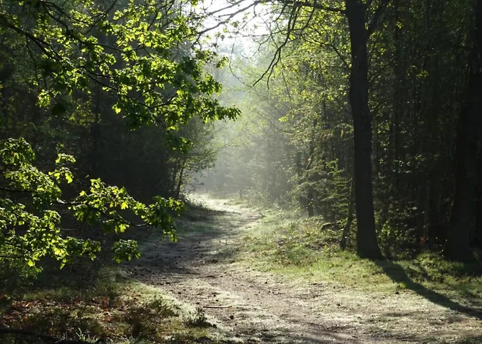 Veluwe Park Reewold Talisman 木屋