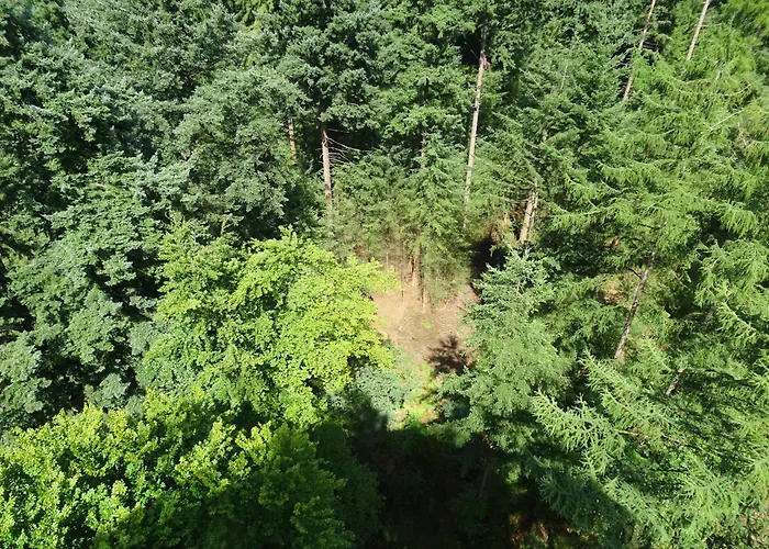 Veluwe Park Reewold Talisman