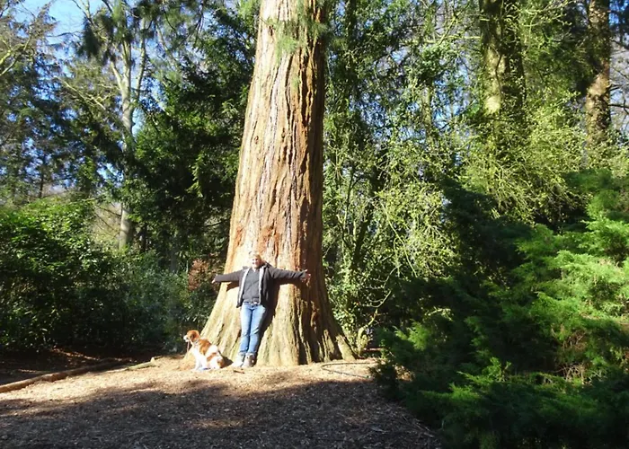 Veluwe Park Reewold Talisman 木屋