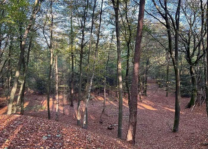 Veluwe Park Reewold Talisman 皮滕