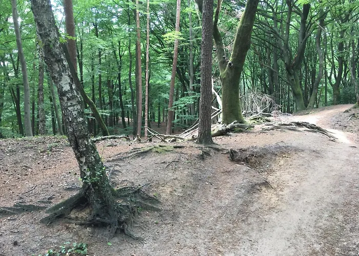 木屋 Veluwe Park Reewold Talisman 皮滕