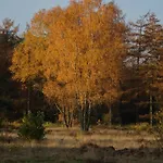 Alpstuga Veluwe Park Reewold Talisman