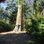 Veluwe Park Reewold Talisman Alpstuga