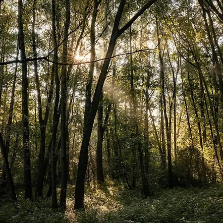 샬레 Veluwe Park Reewold Talisman *