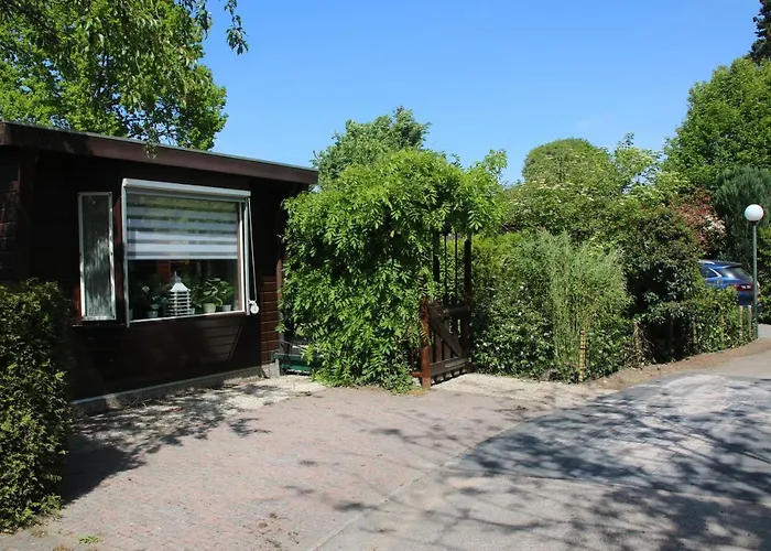 Veluwe Park Reewold Talisman * Putten