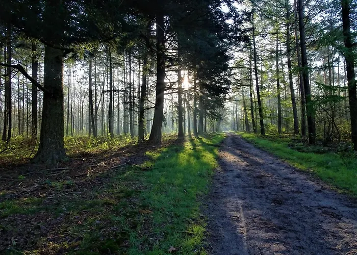 Chalé Veluwe Park Reewold Talisman Putten
