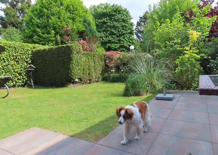 Veluwe Park Reewold Talisman Chalet